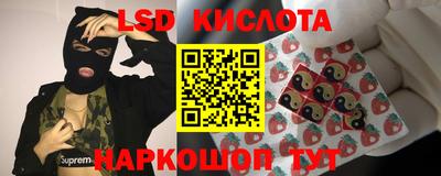 прущие крисы Моздок