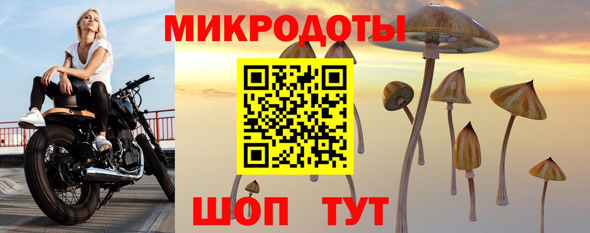 Псилоцибиновые грибы мицелий Тулун