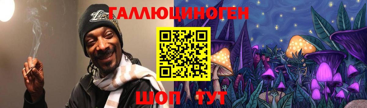 Тулун  Псилоцибиновые грибы Cubensis  Вход с VPN 